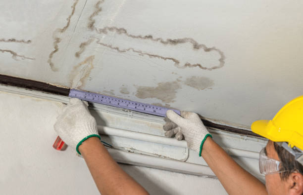 24/7 Emergency Structural Drying experts in Greenville, MI