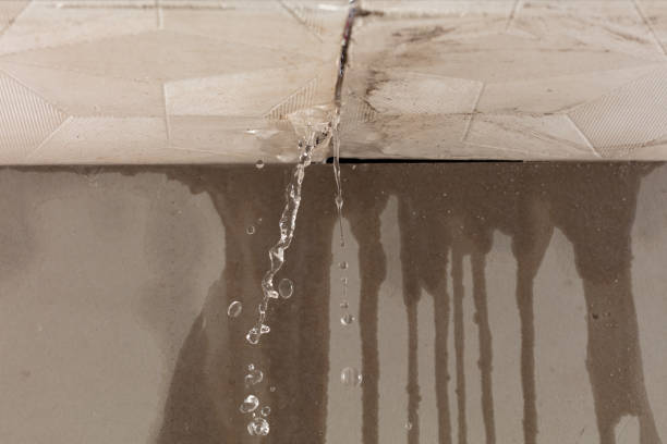 Professional Structural Drying technician working in Greenville, MI